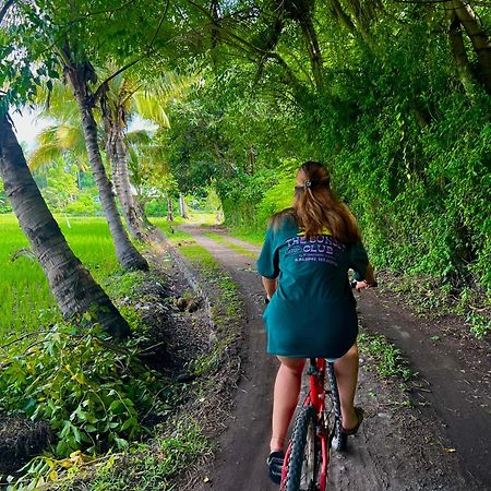 Rinjani Beach Eco Resort Tanjung  Εξωτερικό φωτογραφία