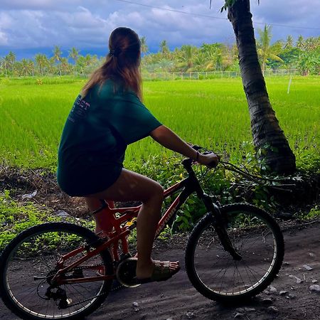 Rinjani Beach Eco Resort Tanjung  Εξωτερικό φωτογραφία