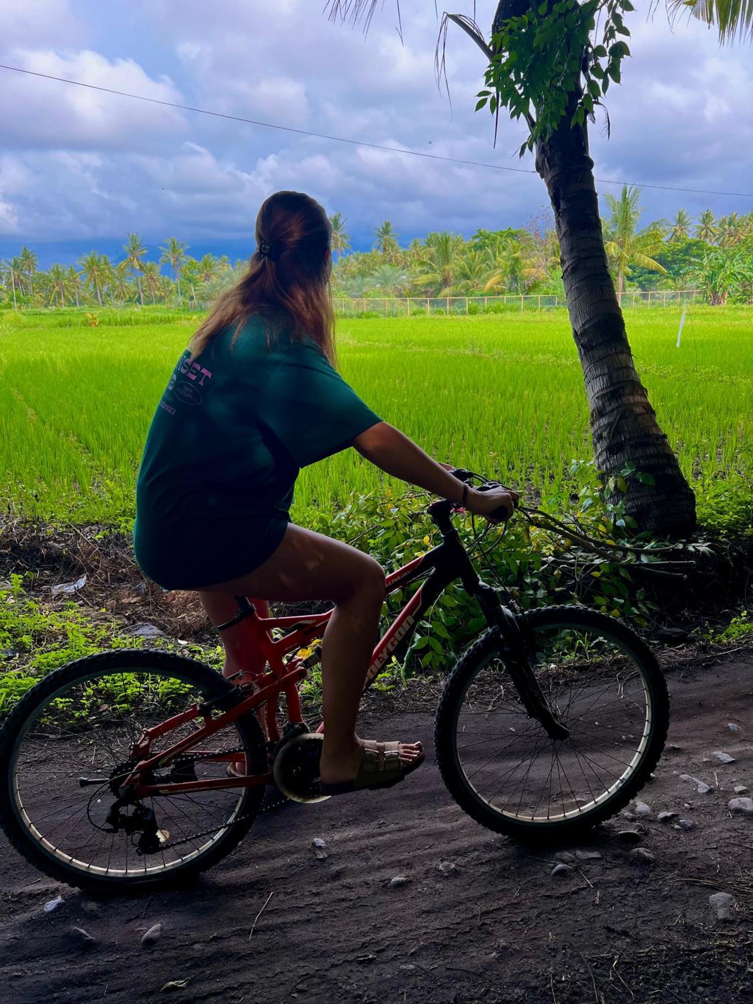 Rinjani Beach Eco Resort Tanjung  Εξωτερικό φωτογραφία