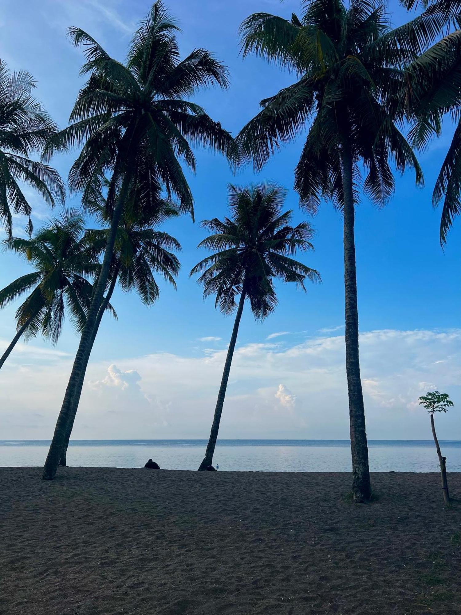 Rinjani Beach Eco Resort Tanjung  Εξωτερικό φωτογραφία