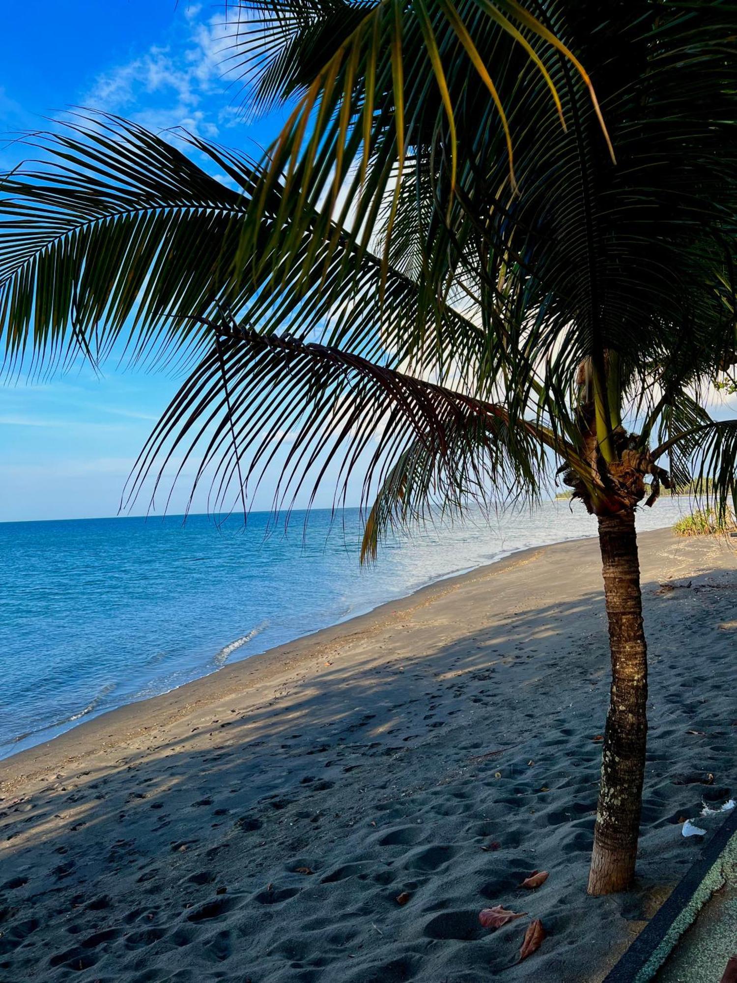 Rinjani Beach Eco Resort Tanjung  Εξωτερικό φωτογραφία